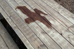 Dark stained pelican on a picnic table