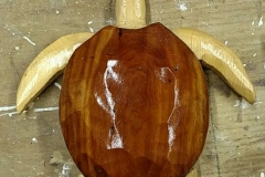 Red cedar and white pine turtle